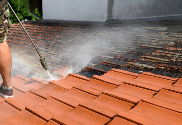 Best Deck Pressure Washing  in Homosassa, FL